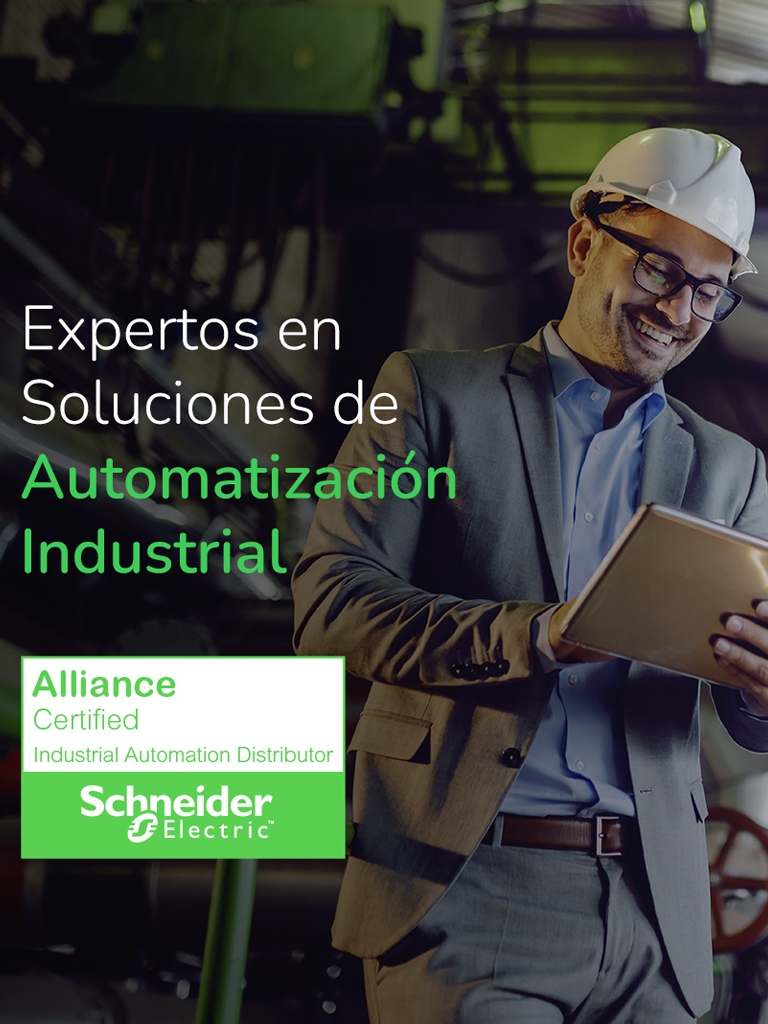 Schneider Electric IAD - Setalde Group